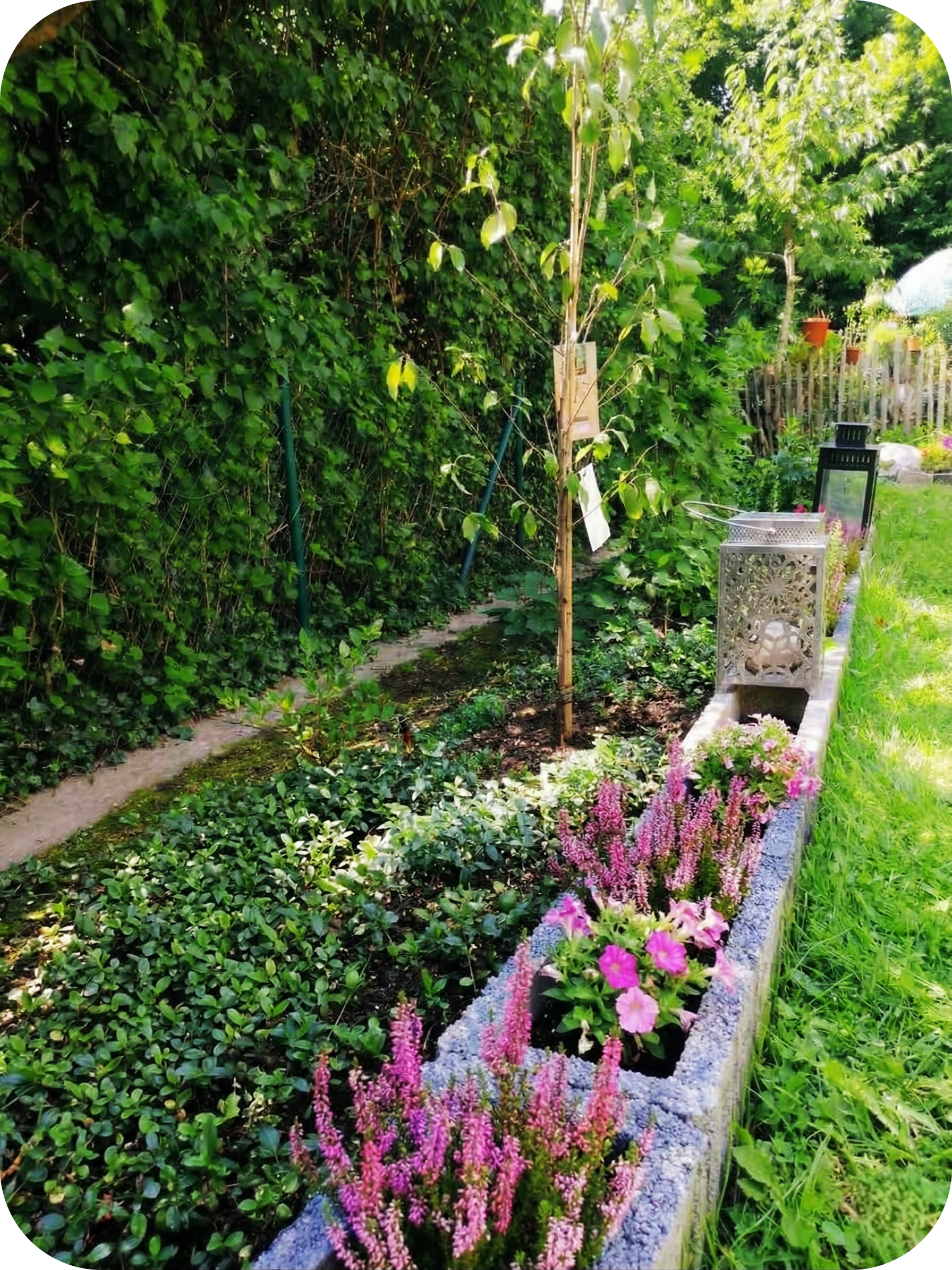 Helle Cinder-Blöcke und dichteres, gesundes Grün